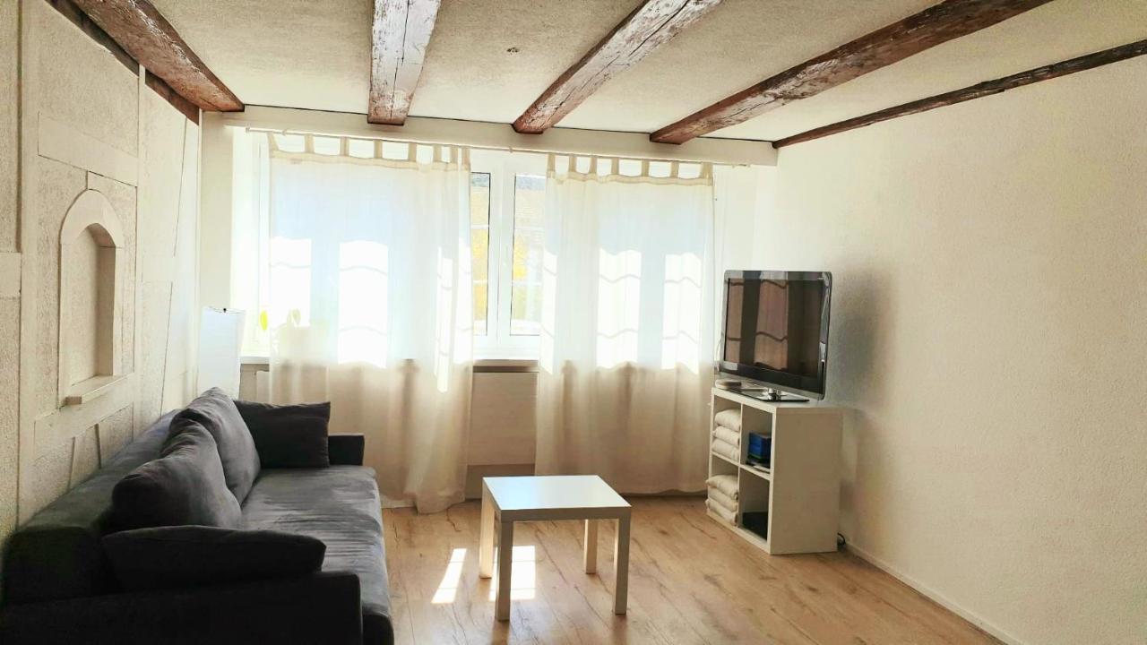 Cozy Apartment Close To Zurich Airport And City Oberglatt Extérieur photo