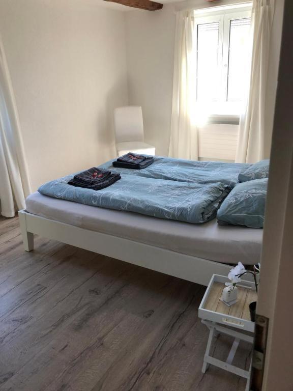 Cozy Apartment Close To Zurich Airport And City Oberglatt Extérieur photo