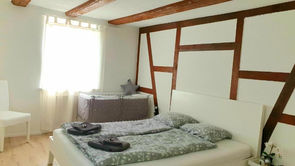 Cozy Apartment Close To Zurich Airport And City Oberglatt Extérieur photo