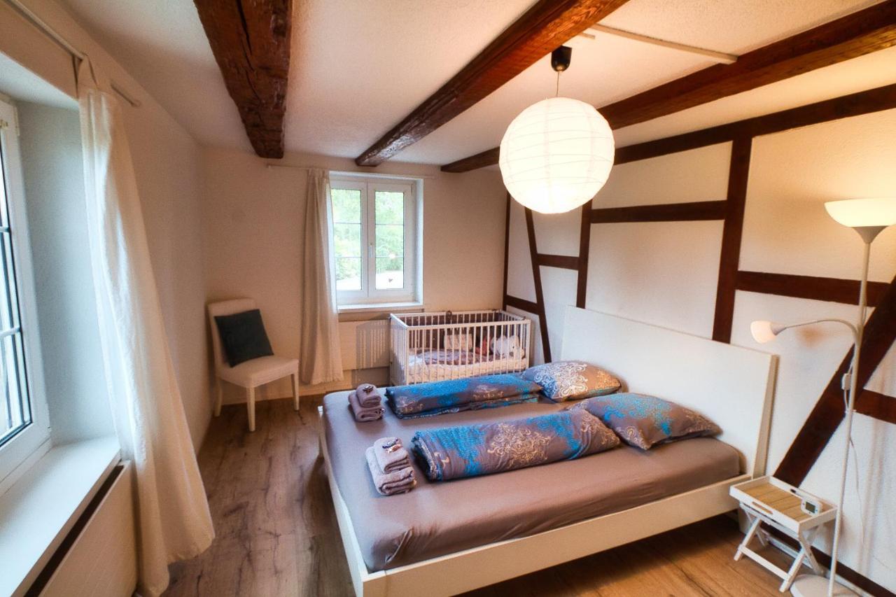 Cozy Apartment Close To Zurich Airport And City Oberglatt Extérieur photo