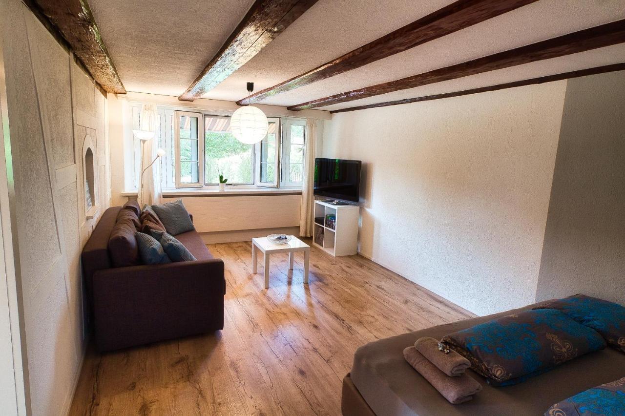 Cozy Apartment Close To Zurich Airport And City Oberglatt Extérieur photo