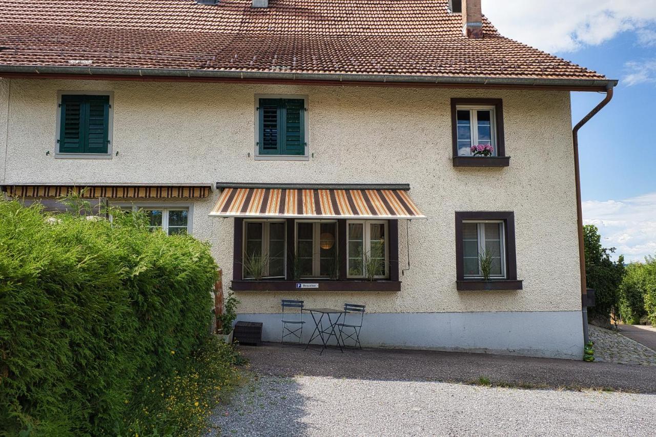 Cozy Apartment Close To Zurich Airport And City Oberglatt Extérieur photo