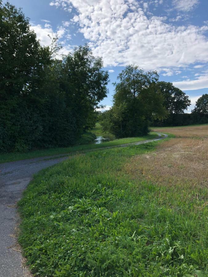 Cozy Apartment Close To Zurich Airport And City Oberglatt Extérieur photo